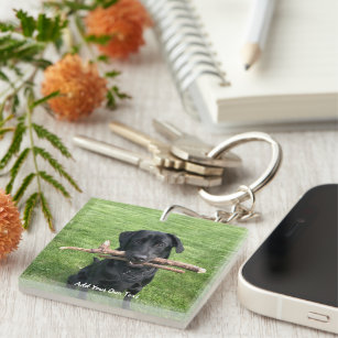 Schwarzes Labor mit zwei Sticks Hund Foto und Name Schlüsselanhänger