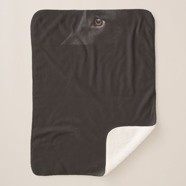 schwarzes Labor Sherpadecke (Vorderseite)