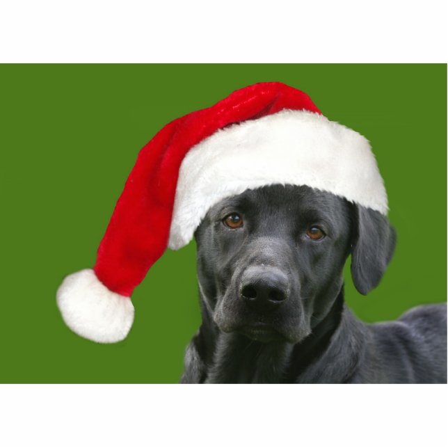 Schwarzes Labor Weihnachten Freistehende Fotoskulptur (Vorne)