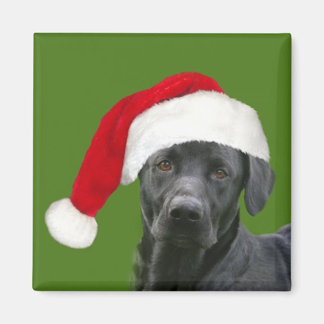 Schwarzes Labor Weihnachten Magnet (Vorne)