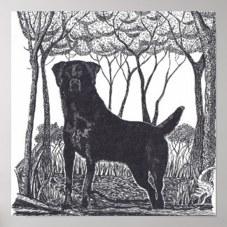 schwarzes Laborposter Poster