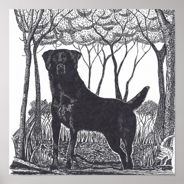 schwarzes Laborposter Poster (Vorne)