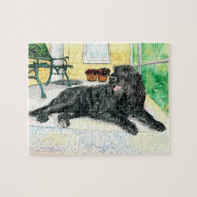 Schwarzes Labradoodle (Horizontal)