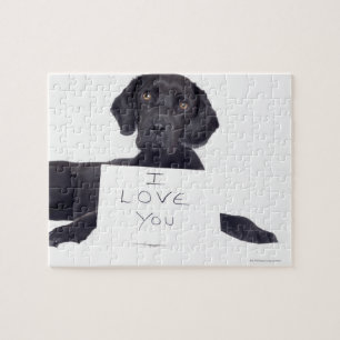 Schwarzes Labrador 13 Monate
