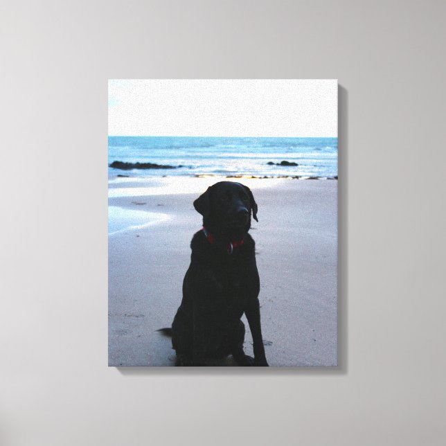 Schwarzes Labrador am Strand Leinwanddruck (Vorderseite)