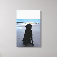 Schwarzes Labrador am Strand