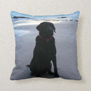 Schwarzes Labrador auf einem Strand Kissen