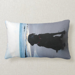 Schwarzes Labrador auf einem Strand Lendenkissen