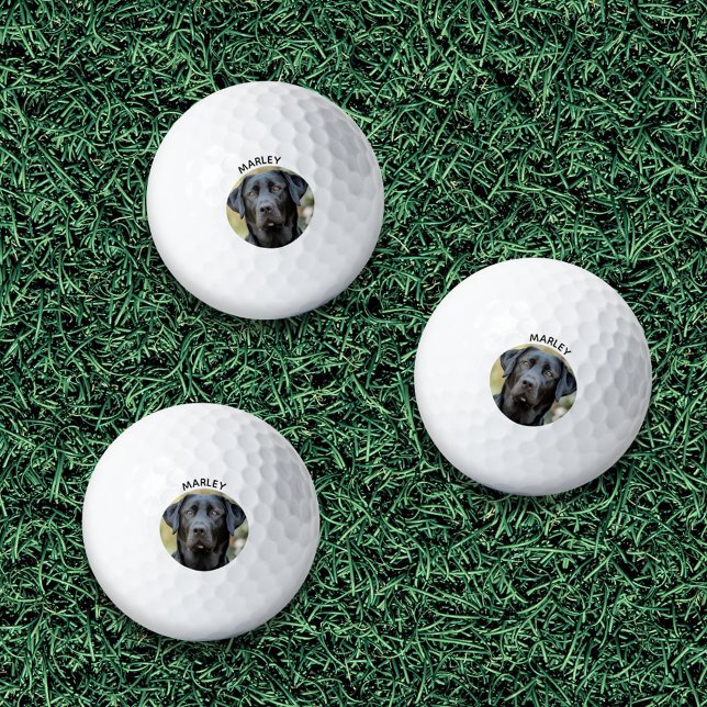 Schwarzes Labrador, benutzerdefiniertes Foto Golfball (Black Labrador, Custom Photo Golf Balls)