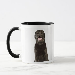 Schwarzes Labrador (Canis familiaris), keuchend, Tasse