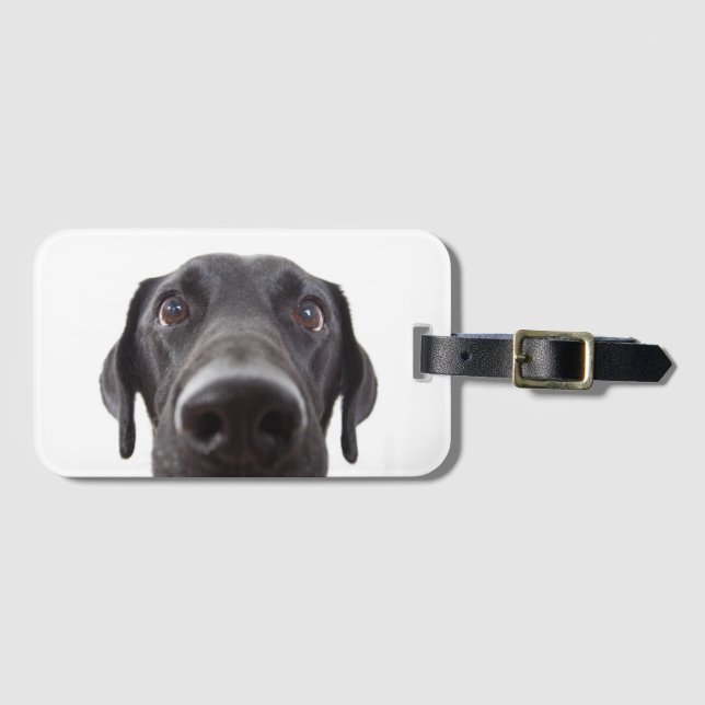 Schwarzes Labrador Closeup-Portrait Gepäckanhänger (Vorderseite (Horizontal))