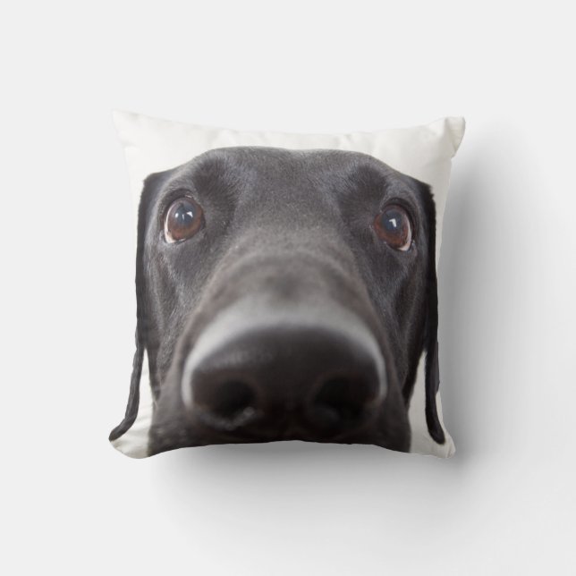 Schwarzes Labrador Closeup-Portrait Kissen (Vorderseite)