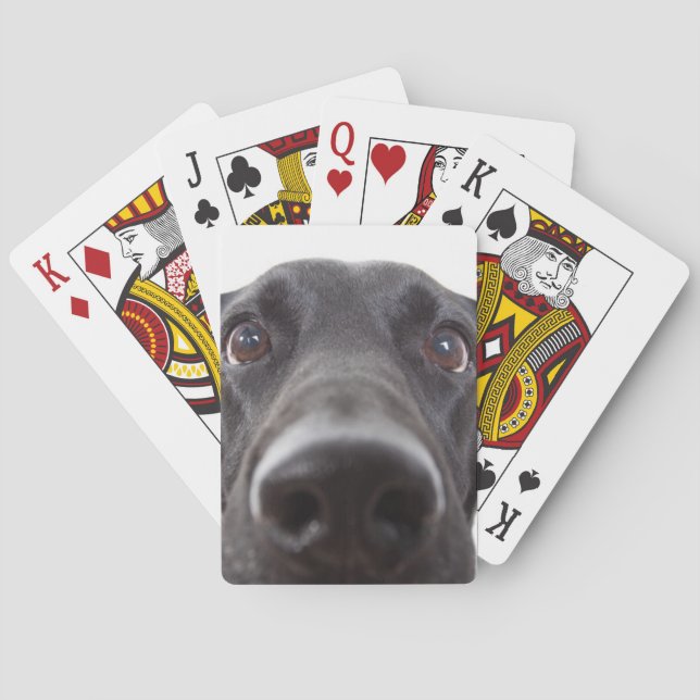 Schwarzes Labrador Closeup-Portrait Spielkarten (Rückseite)