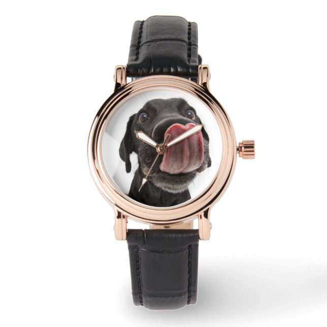 Schwarzes Labrador, das seine Nase leckt Armbanduhr (Vorderseite)