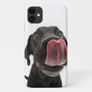 Schwarzes Labrador, das seine Nase leckt Case-Mate iPhone Hülle