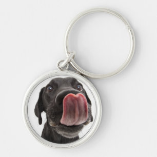 Schwarzes Labrador, das seine Nase leckt Schlüsselanhänger