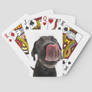 Schwarzes Labrador, das seine Nase leckt Spielkarten