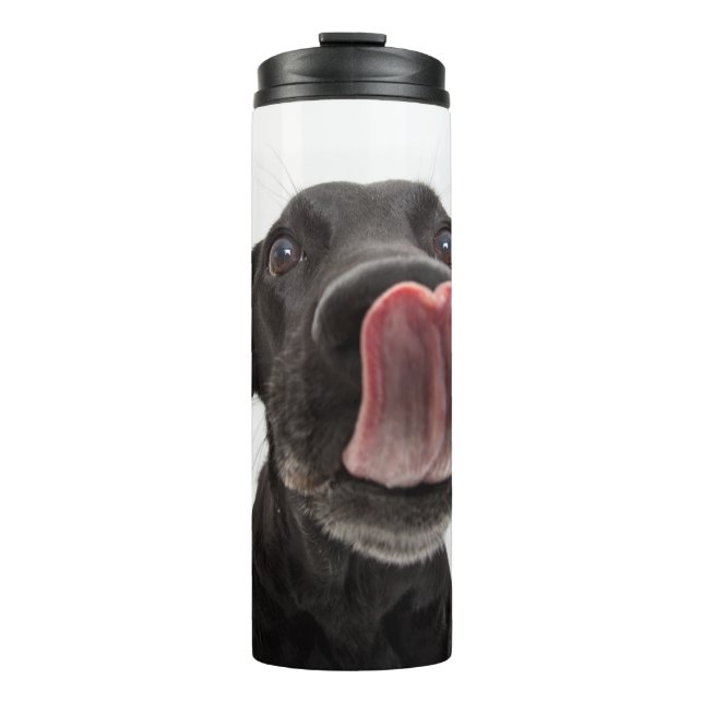 Schwarzes Labrador, das seine Nase leckt Thermosbecher (Vorderseite)
