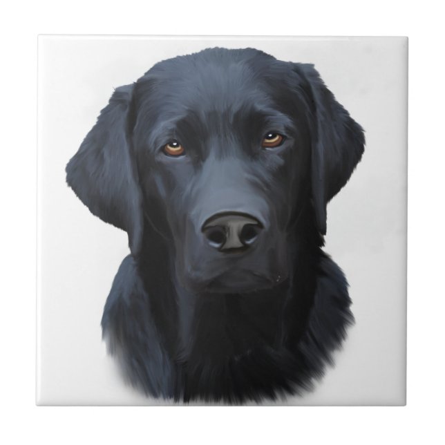 Schwarzes Labrador Hund Farbe Farbe Farbe Malerei Fliese (Vorderseite)