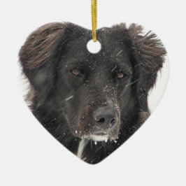 Schwarzes Labrador Hund Foto Keramik Ornament