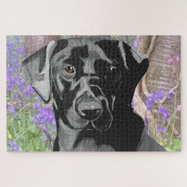 Schwarzes Labrador in Bluebell Wood (Horizontal)