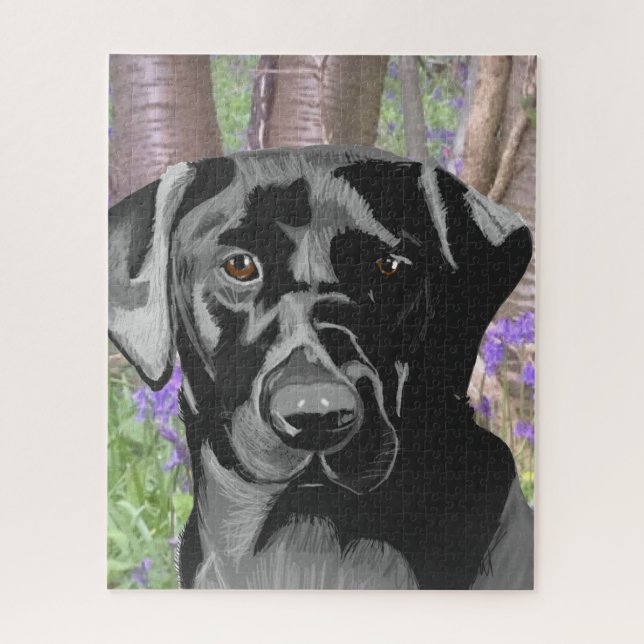 Schwarzes Labrador in Bluebell Wood (Vertikal)
