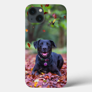 Schwarzes Labrador in Herbstlauben Case-Mate iPhone Hülle