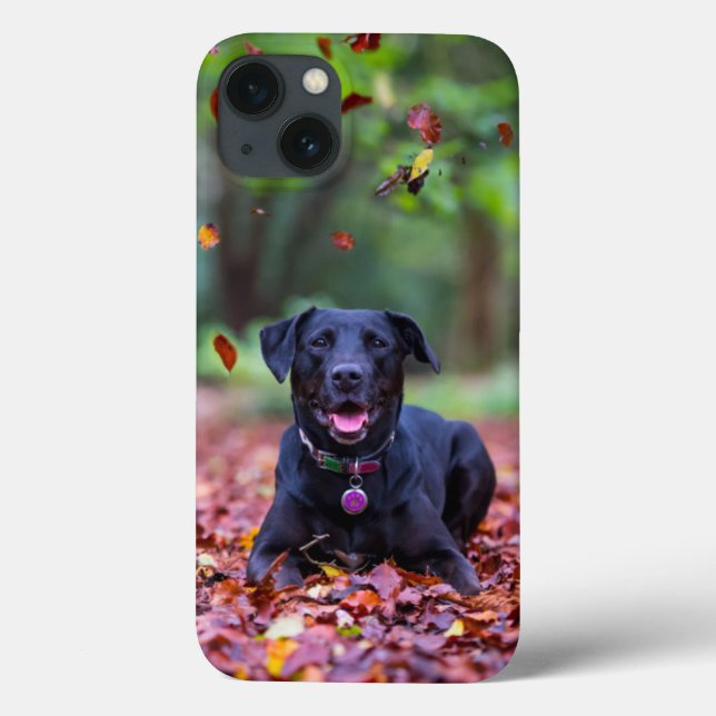 Schwarzes Labrador in Herbstlauben Case-Mate iPhone Hülle (Rückseite)