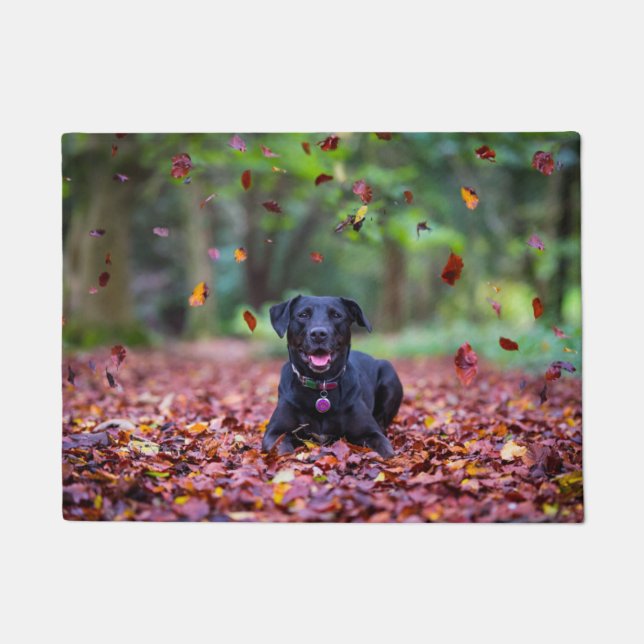 Schwarzes Labrador in Herbstlauben Fußmatte (Vorderseite)