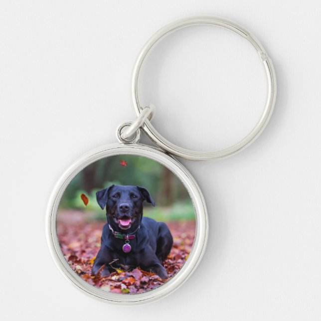 Schwarzes Labrador in Herbstlauben Schlüsselanhänger (Vorne)