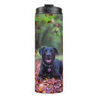 Schwarzes Labrador in Herbstlauben