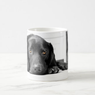Schwarzes Labrador Kaffeetasse