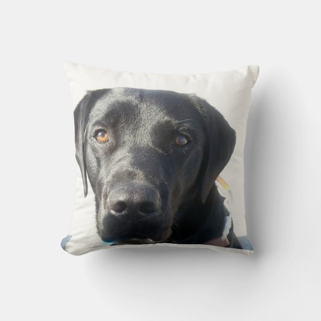 Schwarzes Labrador-Kissen Kissen (Vorderseite)