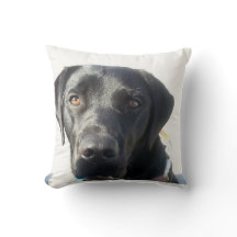 Schwarzes Labrador-Kissen