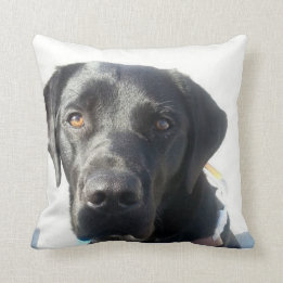 Schwarzes Labrador-Kissen Kissen
