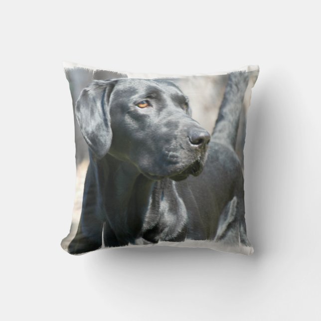 Schwarzes Labrador-Kissen Kissen (Vorderseite)