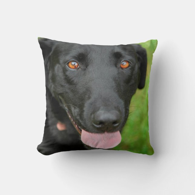 Schwarzes Labrador-Kissen Kissen (Vorderseite)