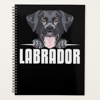 Schwarzes Labrador, Labrador Planer