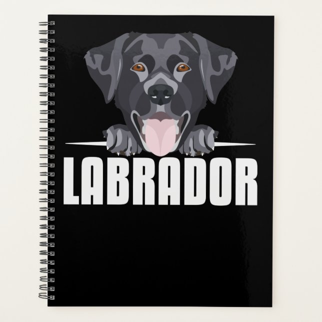 Schwarzes Labrador, Labrador Planer (Vorderseite)