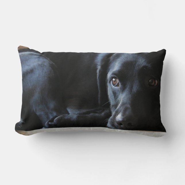 Schwarzes Labrador Lendenkissen (Vorderseite)