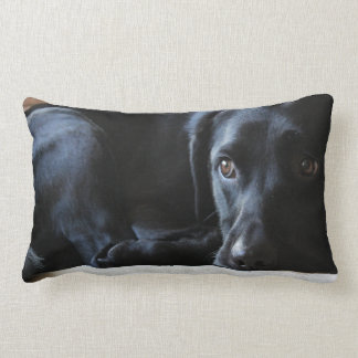 Schwarzes Labrador Lendenkissen