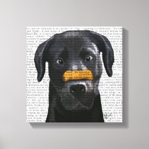 Schwarzes Labrador mit dem Knochen auf Nase Leinwanddruck