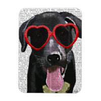 Schwarzes Labrador mit Herzsonnenbrille