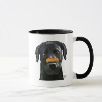 Schwarzes Labrador mit Knochen auf der Nase