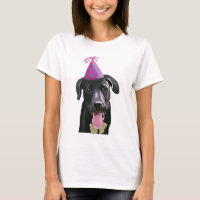 Schwarzes Labrador mit Party-Hut