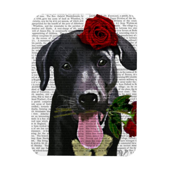 Schwarzes Labrador mit Rose Magnet (Vertikal)