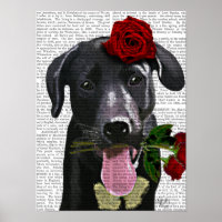 Schwarzes Labrador mit Rose