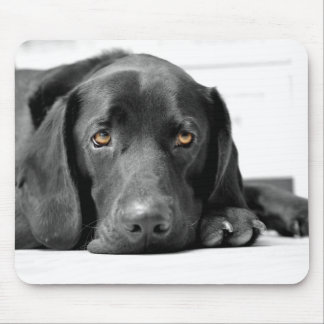 Schwarzes Labrador Mousepad