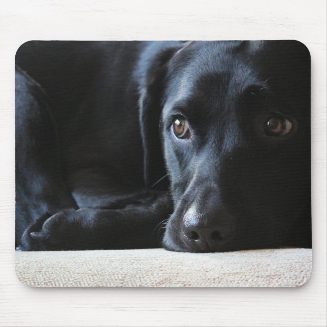 Schwarzes Labrador Mousepad (Vorne)