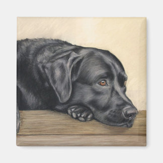 Schwarzes Labrador-Portrait Magnet